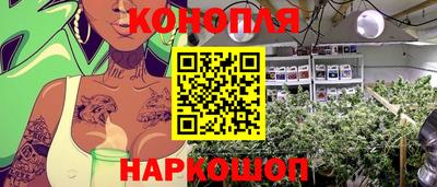 стаф Боровичи