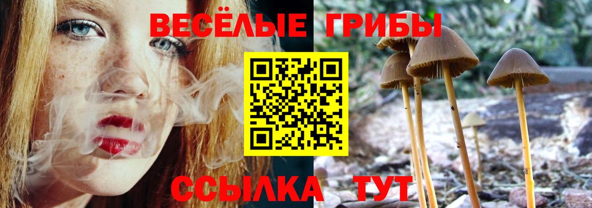 Прохладный  Псилоцибиновые грибы Magic Shrooms  Псилоцибиновые грибы Psilocybe  Вход с VPN 